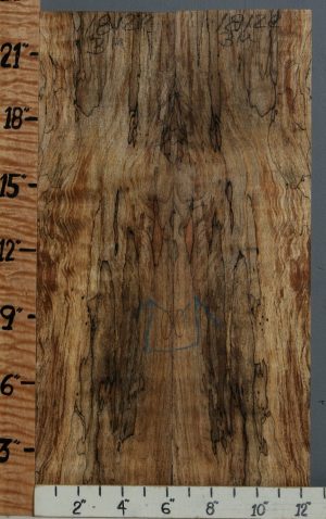 5A Spalted Maple Bookmatch 12"1/4 X 22" X 1/2 (NWT-1812C)