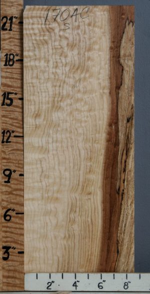 5A Spalted Quilted Maple Block 8"3/4 X 22" X 1"7/8 (NWT-1704C)