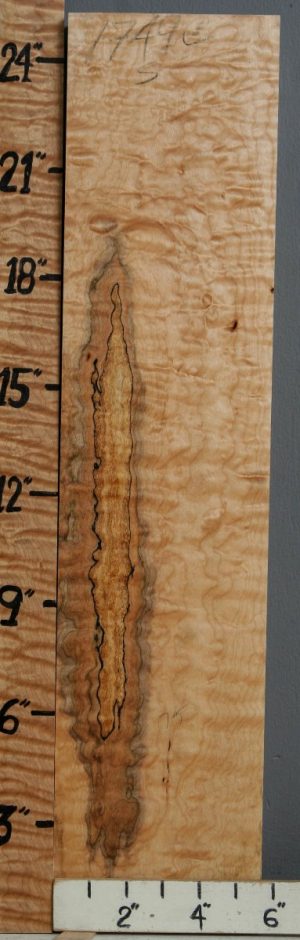 5A Spalted Quilted Maple Block 5"5/8 X 25" X 1"5/8 (NWT-1749C)