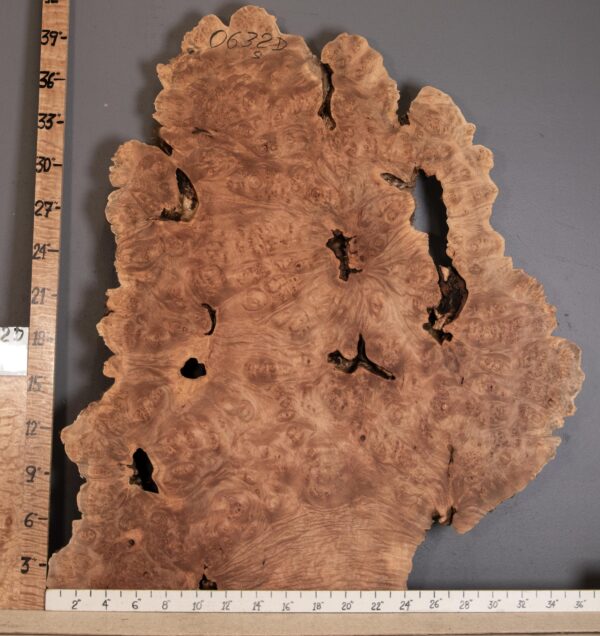 5A  Burl Maple with Live Edge 34" X 40" X 2"1/4 (NWT-0632D) - Image 2