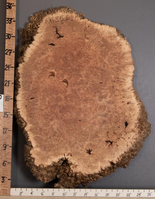 5A  Burl Maple with Live Edge 26" X 36" X 2" (NWT-0635D) - Image 2