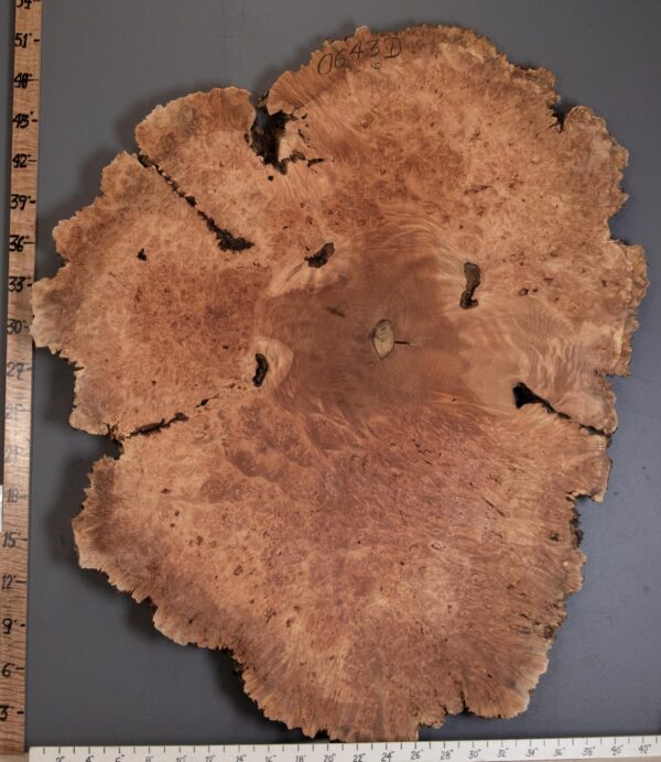 5A Spalted Burl Maple with Live Edge 44" X 51" X 2" (NWT-0643D) - Image 2