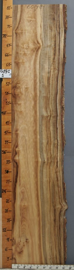 5A Curly Striped Myrtlewood Lumber with Live Edge 16" X 82" X 4/4 (NWT-6019C)