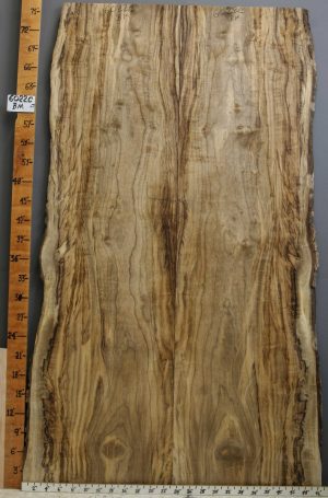 5A Curly Striped Myrtlewood Bookmatch with Live Edge 42" X 77" X 4/4 (NWT-6022C)