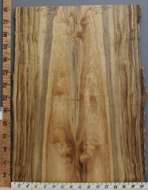 5A Striped Myrtlewood Bookmatch with Live Edge 29" X 42" X 4/4 (NWT-6057C)