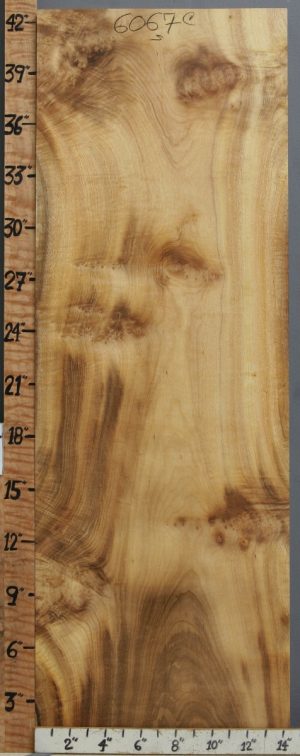 5A Striped Myrtlewood Lumber 14"3/8 X 42" X 9/4 (NWT-6067C)