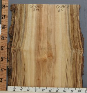 5A Striped Myrtlewood Bookmatch with Live Edge 18" X 24" X 4/4 (NWT-6086C)
