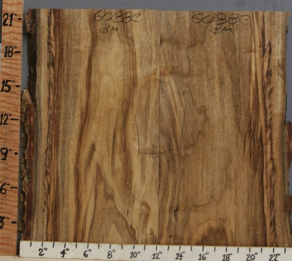 5A Striped Myrtlewood Bookmatch with Live Edge 22" X 21" X 3/4 (NWT-6088C)