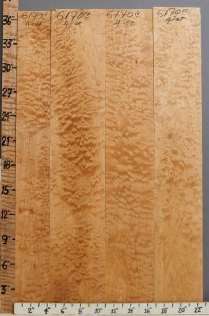 5A Quilted Maple 4 Board Set 22"1/2 X 36" X 4/4 (NWT-6170C)