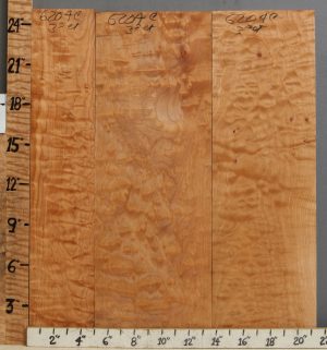 5A Quilted Maple 3 Board Set 21"1/4 X 24" X 4/4 (NWT-6204C)