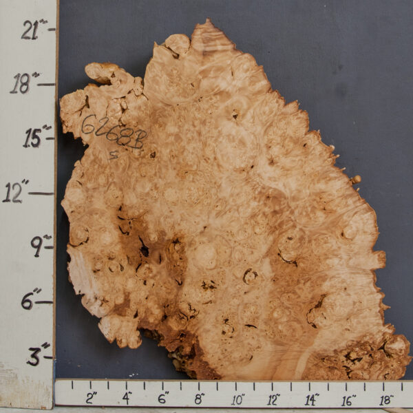 AAAAA BURL MAPLE BLOCK WITH LIVE EDGE 17" X 20" X 1"1/4 (NWT-6268B) - Image 2