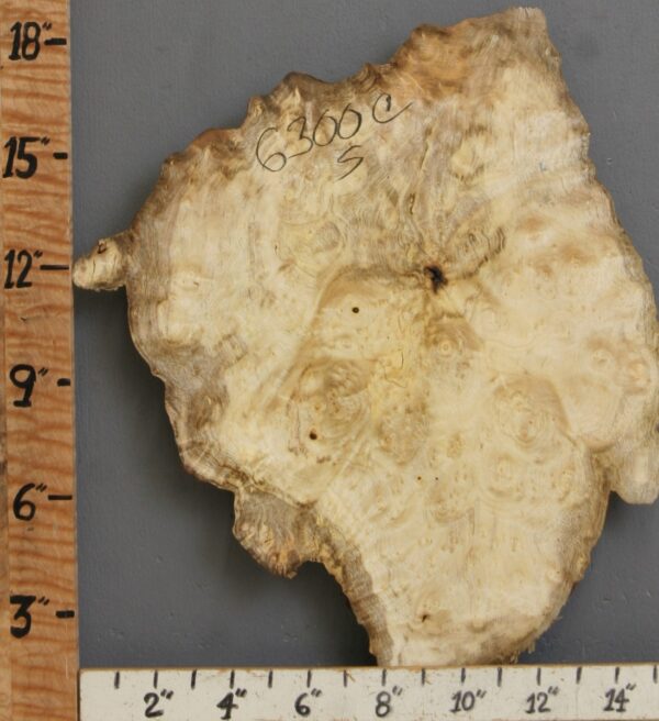 5A Burl Myrtlewood Lumber with Live Edge 14" X 18" X 1" (NWT-6300C) - Image 2