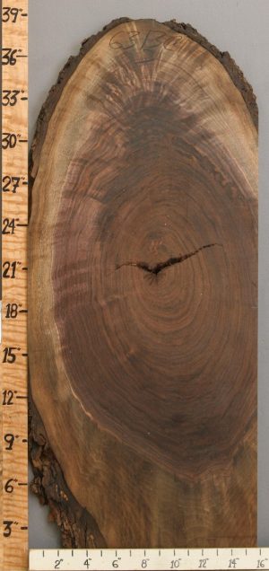 4A Crotch Claro Walnut Lumber 16" X 38" X 4/4 (NWT-6313C)