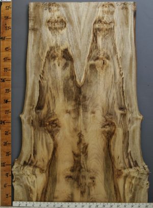 5A Burl Myrtlewood Bookmatch with Live Edge 31" X 58" X 4/4 (NWT-6341C)