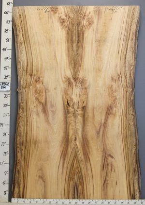 5A Striped Myrtlewood Bookmatch with Live Edge 38" X 61" X 4/4 (NWT-6350C)