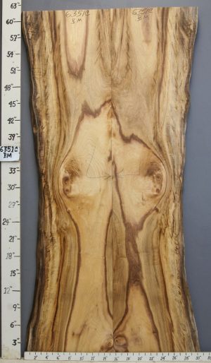 5A Striped Myrtlewood Bookmatch with Live Edge 26" X 61" X 4/4 (NWT-6351C)