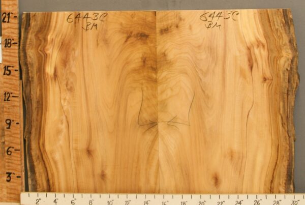 5A Striped Myrtlewood Bookmatch with Live Edge 29" X 21" X 4/4 (NWT-6443C)