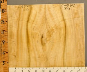 5A Curly Myrtlewood Bookmatch 22" X 19" X 4/4 (NWT-6447C)