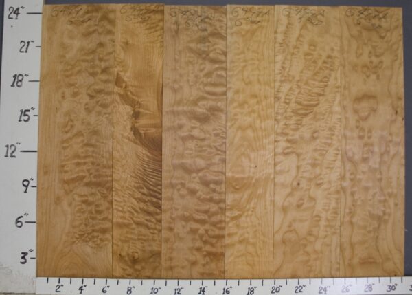 AAAAA QUILTED MAPLE 31"3/8 X 24" X 4/4 (NWT6499A)