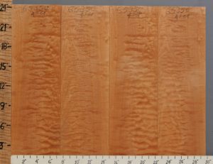 Musical Quilted Maple Microlumber 4 Board Set 29"3/4 X 24" X 1/4 (NWT-6535C)