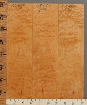 Musical Quilted Maple Microlumber 3 Board Set 18"1/2 X 24" X 1/4 (NWT-6548C)