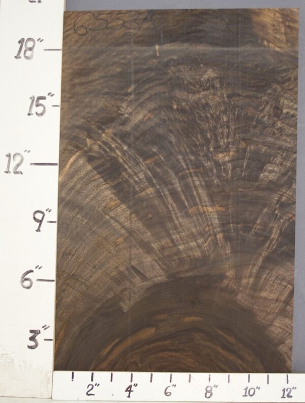 AAAAA CROTCH CLARO WALNUT 12"1/4 X 20" X 4/4 (NWT6553A)