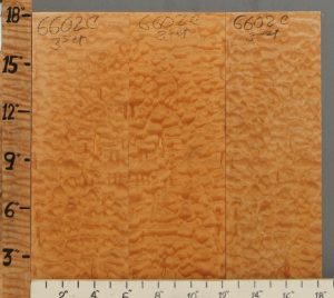 Musical Quilted Maple Microlumber 3 Board Set 18"1/4 X 18" X 1/4 (NWT-6602C)