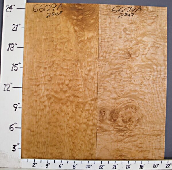 AAAAA QUILTED MAPLE 21"5/8 X 24"3/4 X 5/4 (NWT6609A)