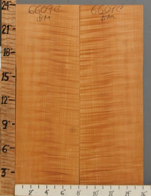 Musical Curly Maple Microlumber Bookmatch 16" X 24" X 1/4 (NWT-6609C)