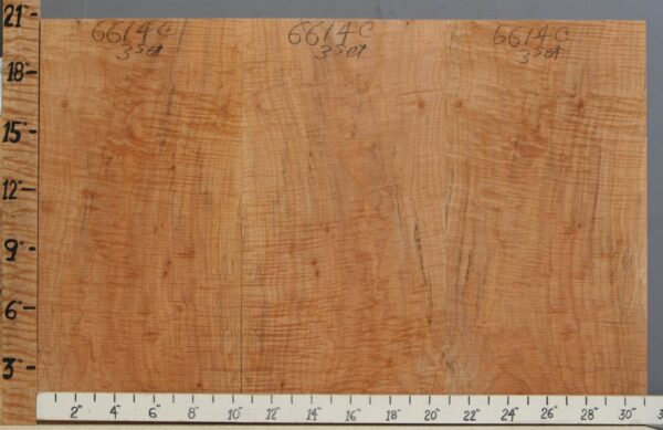 Musical Curly Maple Microlumber 3 Board Set 31"1/4 X 20" X 3/8 (NWT-6614C)