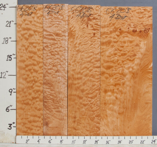 AAAAA QUILTED MAPLE 4 BOARD SET 23"3/4 X 24" X 5/4 (NWT-6620B)