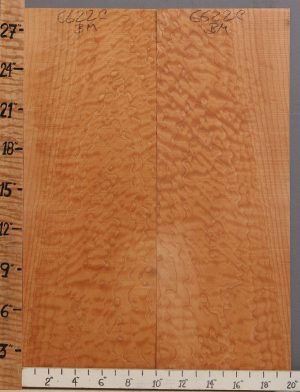 Musical Quilted Maple Bookmatch Microlumber 20" X 28" X 1/4 (NWT-6622C)