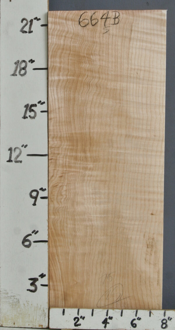 CURLY MAPLE BLOCK 7"3/4 X 22" X 1"3/4 (NWT664B)