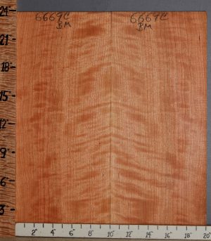Musical Curly Cherry Microlumber Bookmatch 20" X 23" X 1/4" (NWT-6669C)