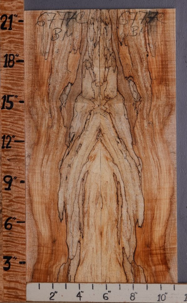 5A Curly Spalted Maple Microlumber Bookmatch 11"1/4 X 21" X 3/4" (NWT-6777C)