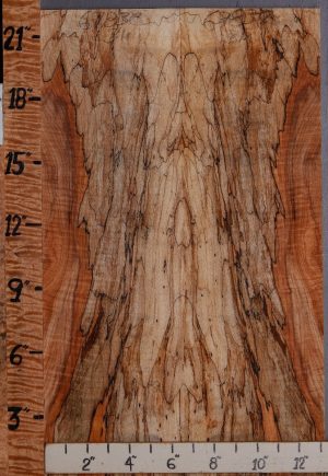 5A Curly Spalted Maple Bookmatch Microlumber 13" X 22" X 3/8 (NWT-6783C)