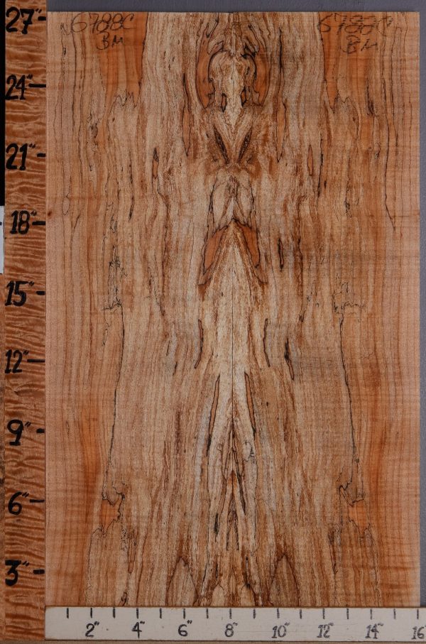 5A Spalted Maple Microlumber 16" X 27" X 3/8 (NWT-6788C)