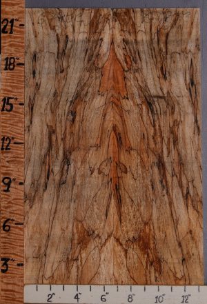 5A Spalted Maple Microlumber Bookmatch 13" X 22" X 3/8 (NWT-6790C)