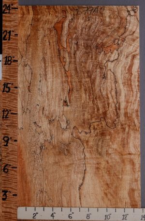 5A Spalted Maple Microlumber 13"1/2 X 24" X 3/8 (NWT-6794C)