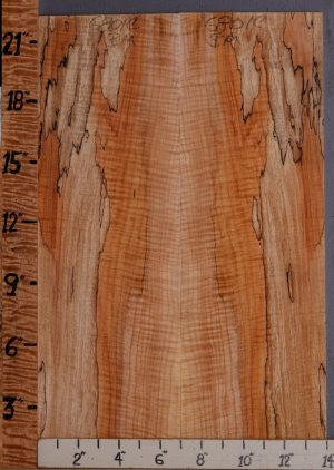 5A Curly Spalted Maple Microlumber Bookmatch 14" X 22" X 3/8 (NWT-6801C)