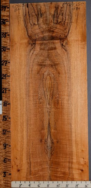 5A Spalted Curly Maple Microlumber Bookmatch 16"1/2 X 40" X 3/8 (NWT-6865C)