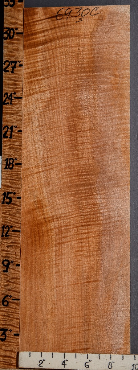 Musical Curly Maple Billet 9"1/2 X 32" X 2"1/8 (NWT-6930C)