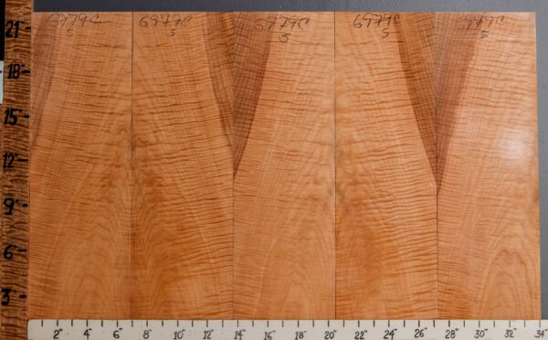 Musical Curly Maple Microlumber 5 Board Set 34"1/4 X 22" X 1/4 (NWT-6979C)