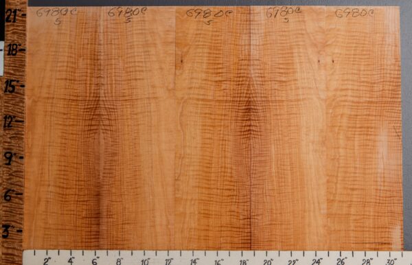 Musical Curly Maple Microlumber 5 Board Set 31" X 21" X 1/4 (NWT-6980C)