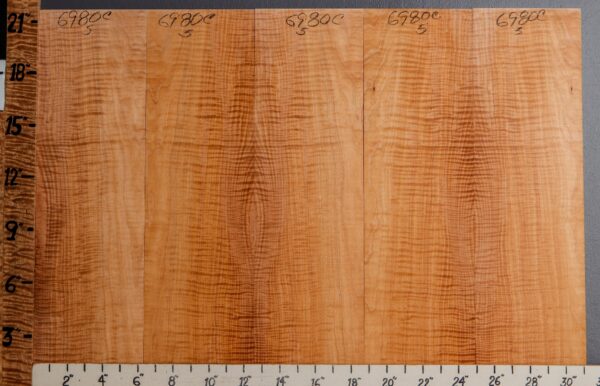 Musical Curly Maple Microlumber 5 Board Set 31" X 21" X 1/4 (NWT-6980C) - Image 2