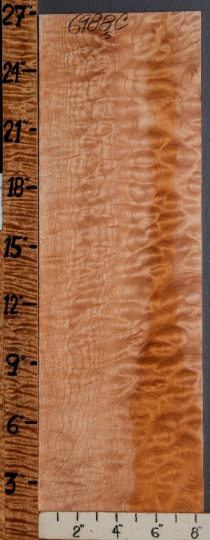Musical Quilted Maple Microlumber 8"3/8 X 26" X 1/4 (NWT-6988C)