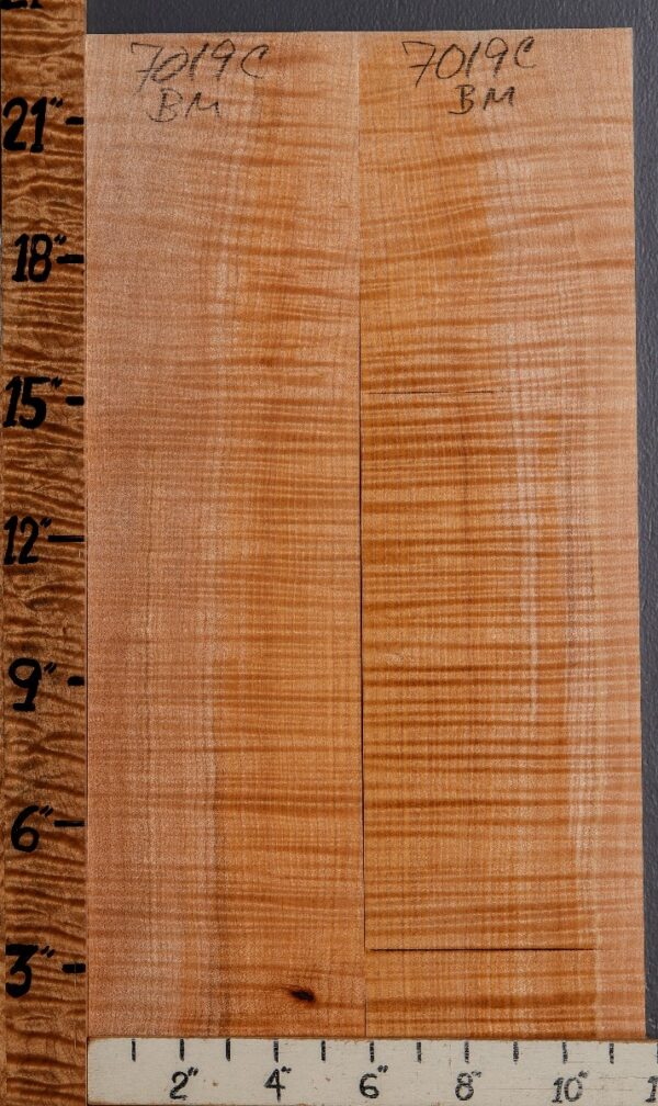 Musical Curly Maple Microlumber Bookmatch 11"1/2 X 22" X 1/4 (NWT-7019C) - Image 2