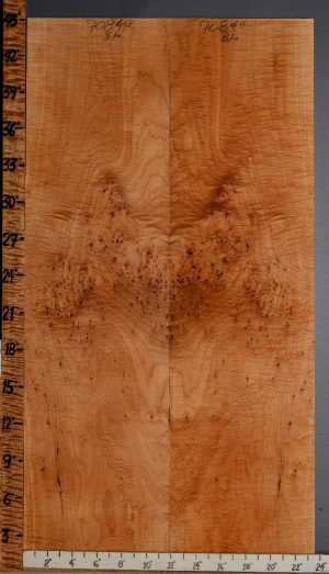 5A Curly Maple Microlumber Bookmatch 23"1/2 X 45" X 3/8 (NWT-7084C)