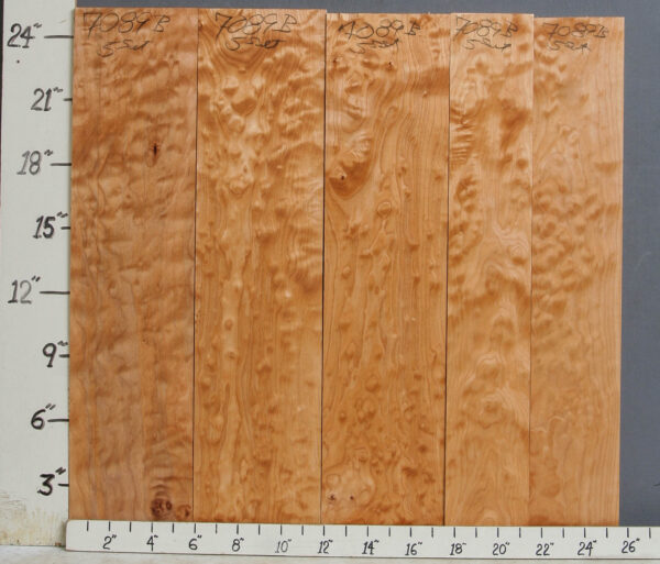 AAAA QUILTED MAPLE 5 BOARD SET 25"1/2 X 24" X 4/4 (NWT-7089B)