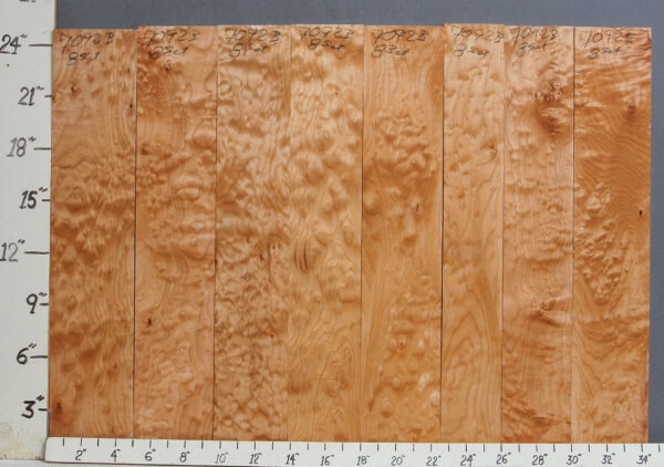 AAAA QUILTED MAPLE 8 BOARD SET 34"1/4 X 24" X 4/4 (NWT-7092B)